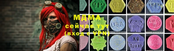 индика Медногорск