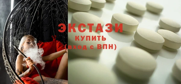 индика Медногорск