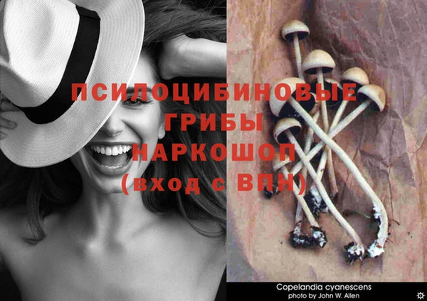 гашишное масло Медвежьегорск