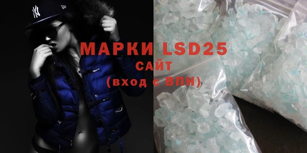 индика Медногорск