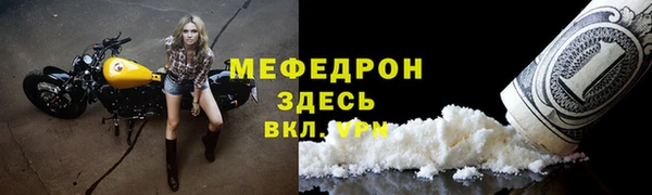 индика Медногорск