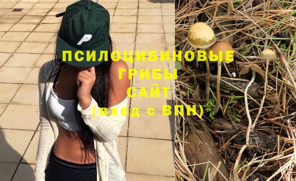 индика Медногорск