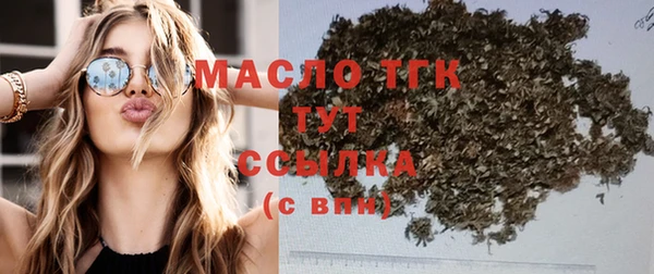 индика Медногорск