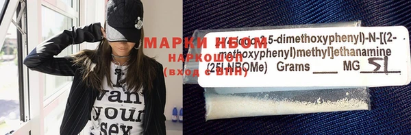 индика Михайловск
