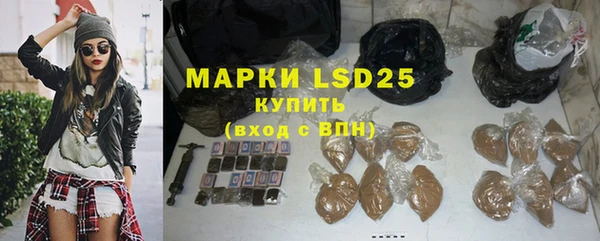 индика Медногорск