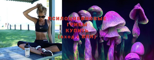 индика Медногорск