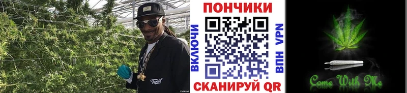 Купить закладки  Богородицк  Шишки марихуана марихуана 